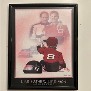 Dale Earnhardt racing framed picture.